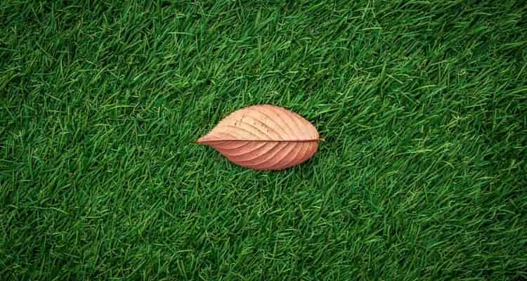 How much is artificial turf