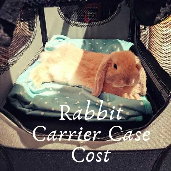 rabbit carrier case cost