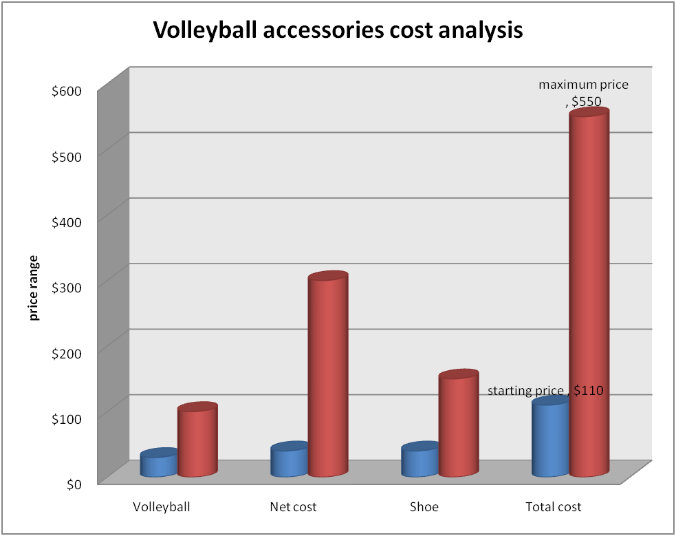 volleyball cost chart