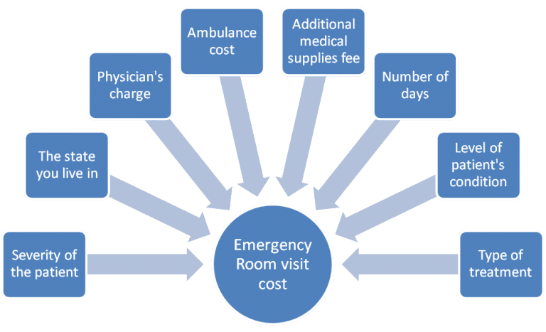 level 1 emergency room visit cost