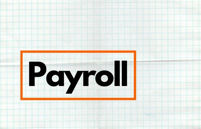 Payroll services cost