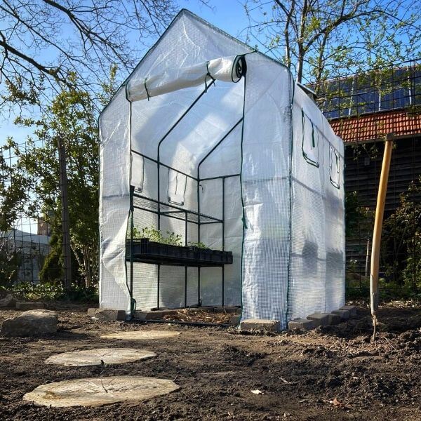 greenhouse tent image